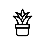 Icon1 150x150